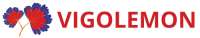 Logo vigolemon.com